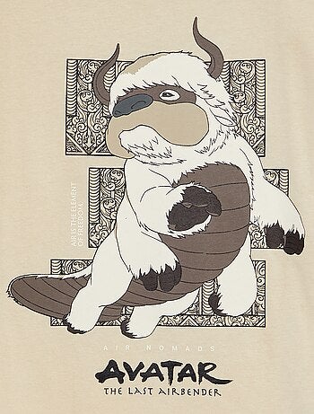 Camiseta estampada 'Avatar: la leyenda de Aang'
