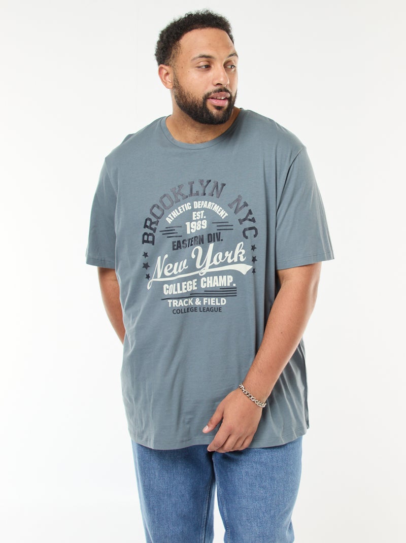 Camiseta estampada de manga corta Gris - Kiabi
