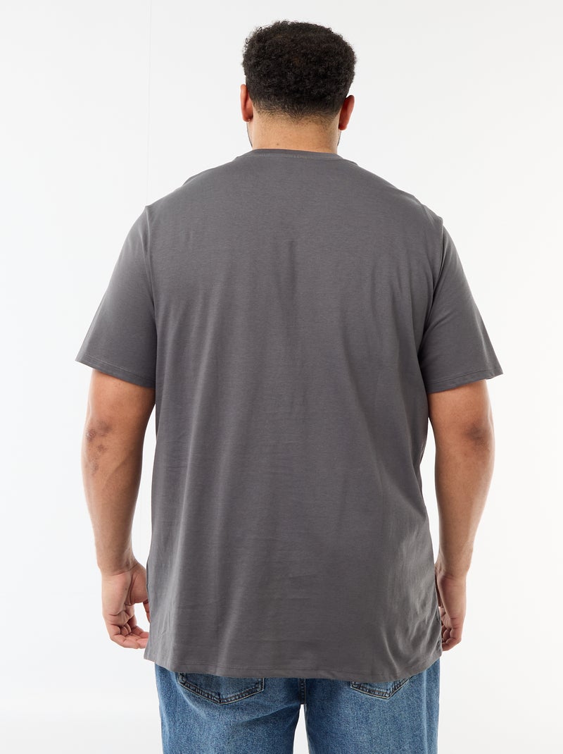 Camiseta estampada de manga corta y cuello redondo Gris - Kiabi