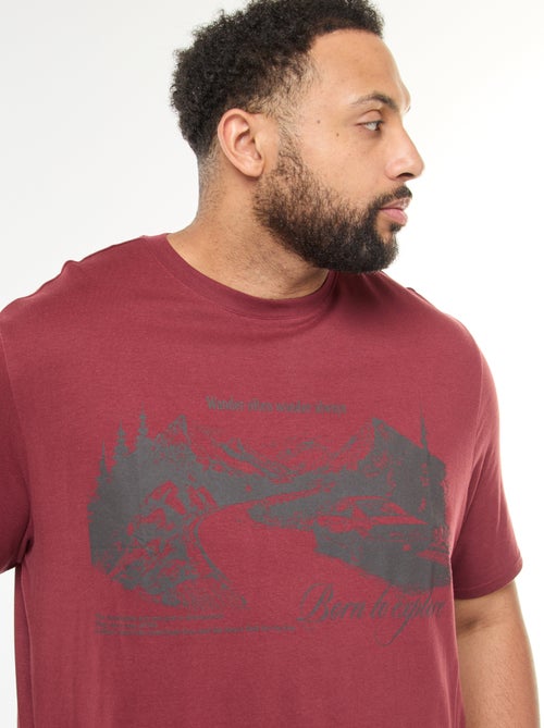 Camiseta estampada de manga corta y cuello redondo - Kiabi