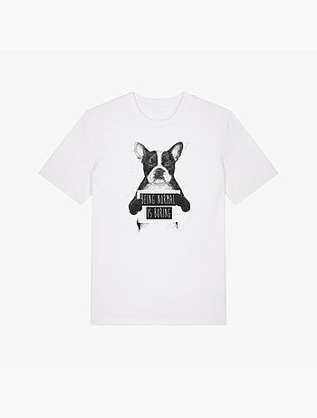 Camiseta hombre - being normal is boring