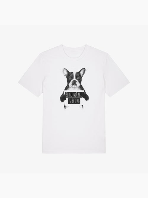 Camiseta Hombre - BEING NORMAL IS BORING - Kiabi Camiseta Hombre - BEING NORMAL IS BORING - Kiabi