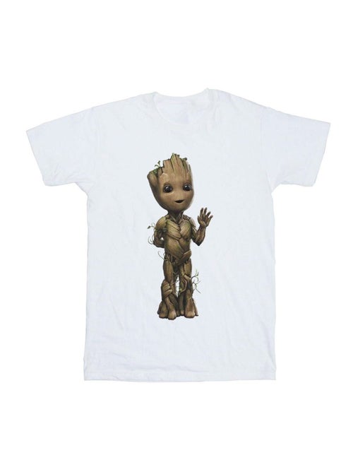 Camiseta i am groot ondas para hombre - marvel - Kiabi Camiseta i am groot ondas para hombre - marvel - Kiabi
