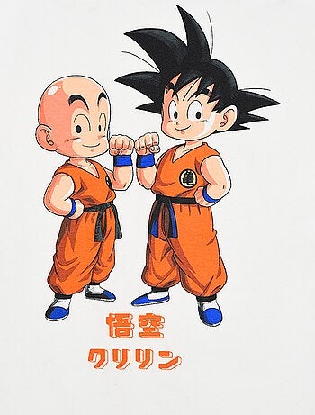 Camiseta loose fit 'Dragon Ball Z'