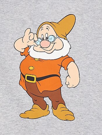 Camiseta 'Los 7 enanitos' 'Disney'