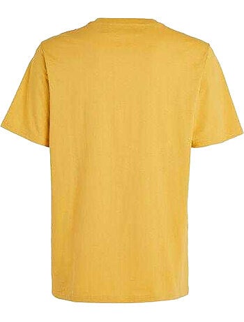 Camiseta the future surf society para hombre - o´neill
