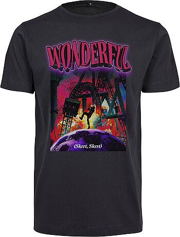 Camiseta wonderful para hombre - mister tee