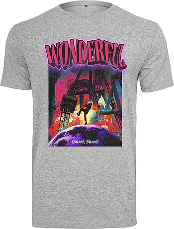 Camiseta wonderful para hombre - mister tee