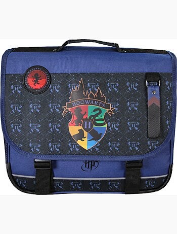 Mochila escolar Harry Potter 38 cm primaria azul y rosa 2 compartimentos