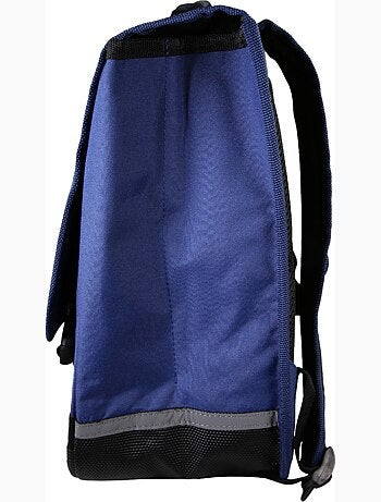 Mochila escolar Harry Potter 38 cm primaria azul y rosa 2 compartimentos