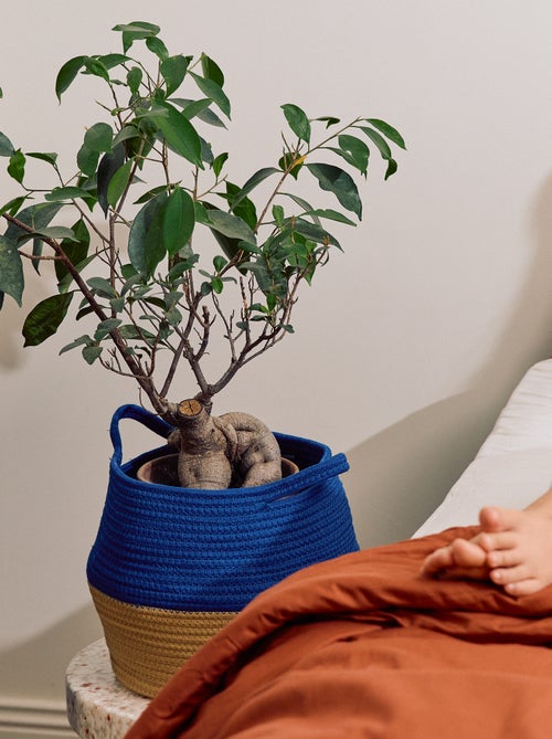 Cesta pequeña de almacenamiento - Kiabi