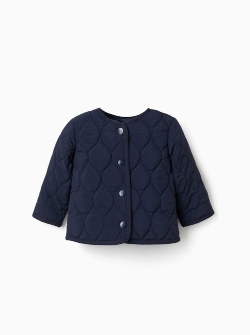 Chaqueta acolchada con automáticos - Kiabi Chaqueta acolchada con automáticos - Kiabi