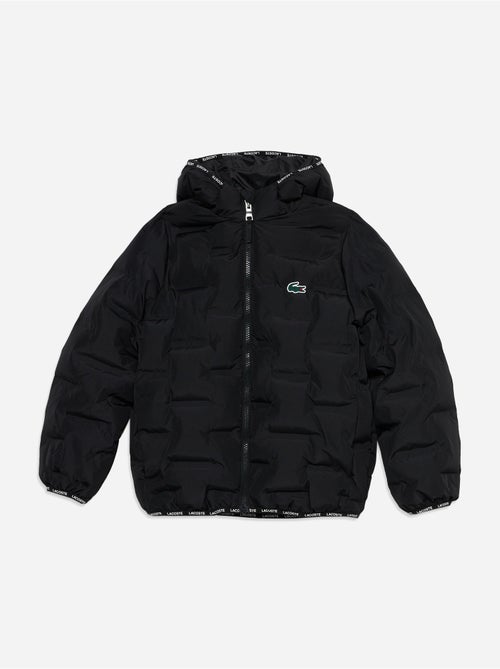 Chaqueta acolchada con capucha - lacoste - Kiabi Chaqueta acolchada con capucha - lacoste - Kiabi