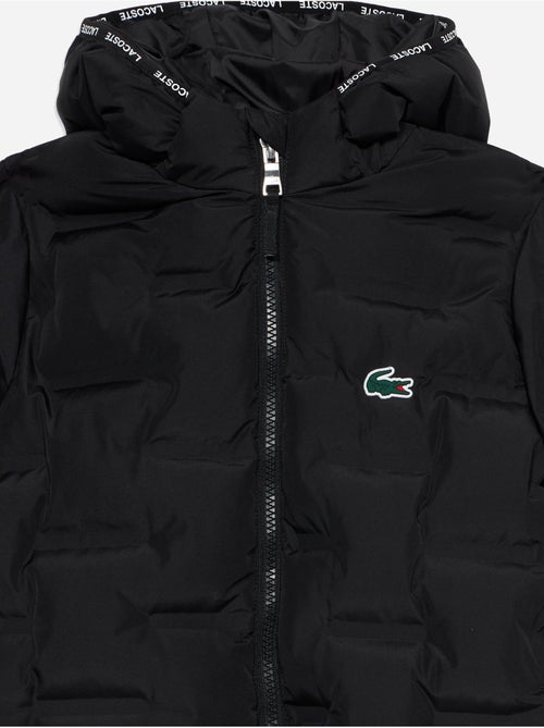 Chaqueta acolchada con capucha - lacoste - Kiabi Chaqueta acolchada con capucha - lacoste - Kiabi