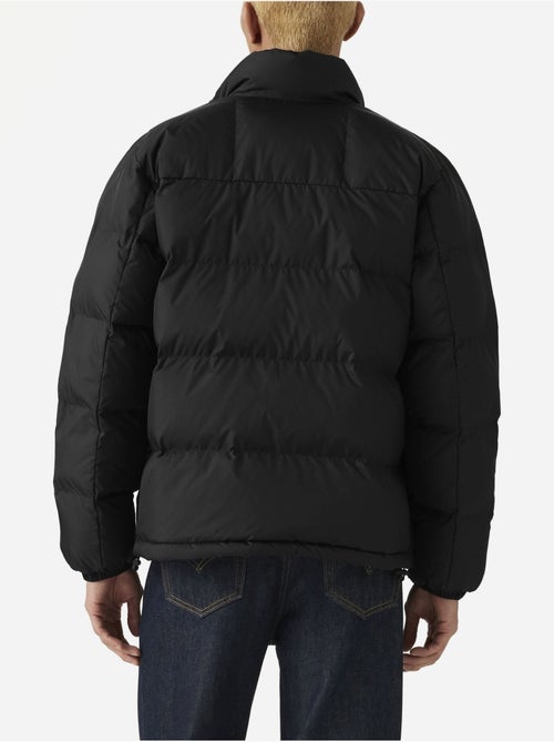 Chaqueta acolchada con cuello alto - levi's - Kiabi Chaqueta acolchada con cuello alto - levi's - Kiabi