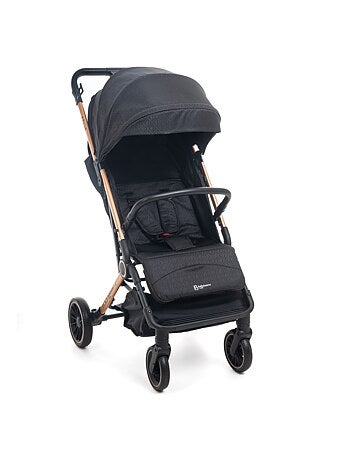 Cochecito combinado dúo 2 en 1 - asiento de coche grupo 0+ lioni