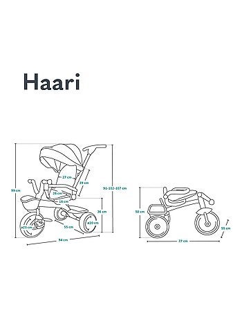 Cochecito y triciclo de bebé LIONELO Haari - Hasta 25 kg - Asiento reversible - Cesta y bolso inclui