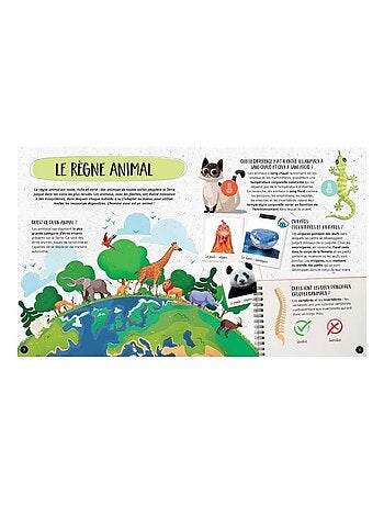 Cofre mega atlas de animales | Sassi Junior