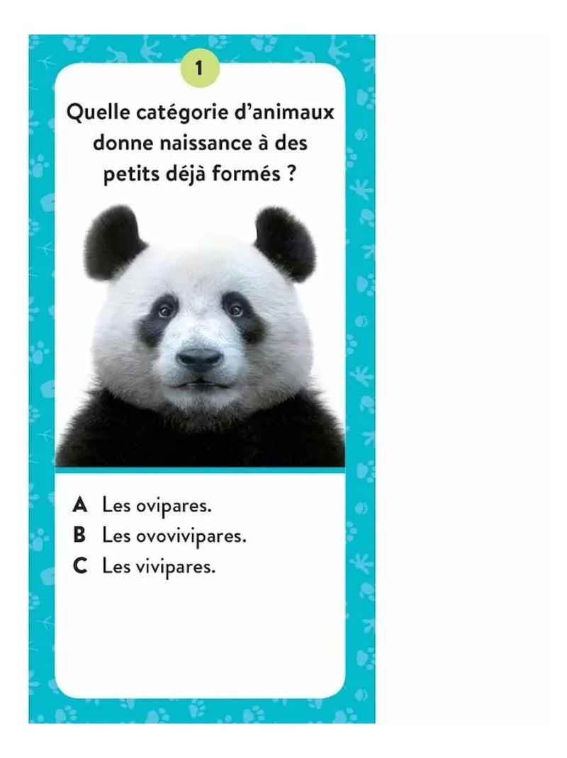 Cofre mega atlas de animales | Sassi Junior N/D - Kiabi