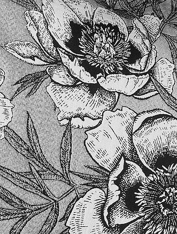 Cojín con ribete y estampado floral