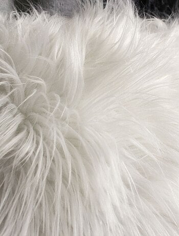 Cojín desenfundable liso con ribete