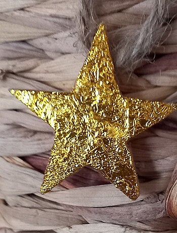 Colgante de estrella de resina
