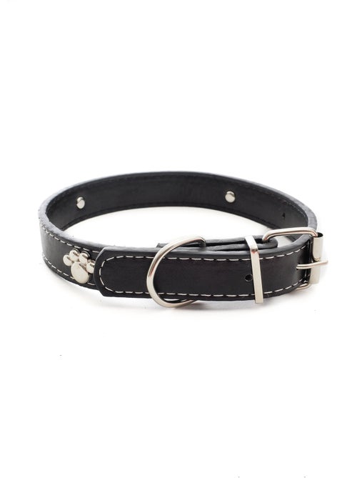 Collar de animal con motivo de pata - AFIBEL - Kiabi Collar de animal con motivo de pata - AFIBEL - Kiabi