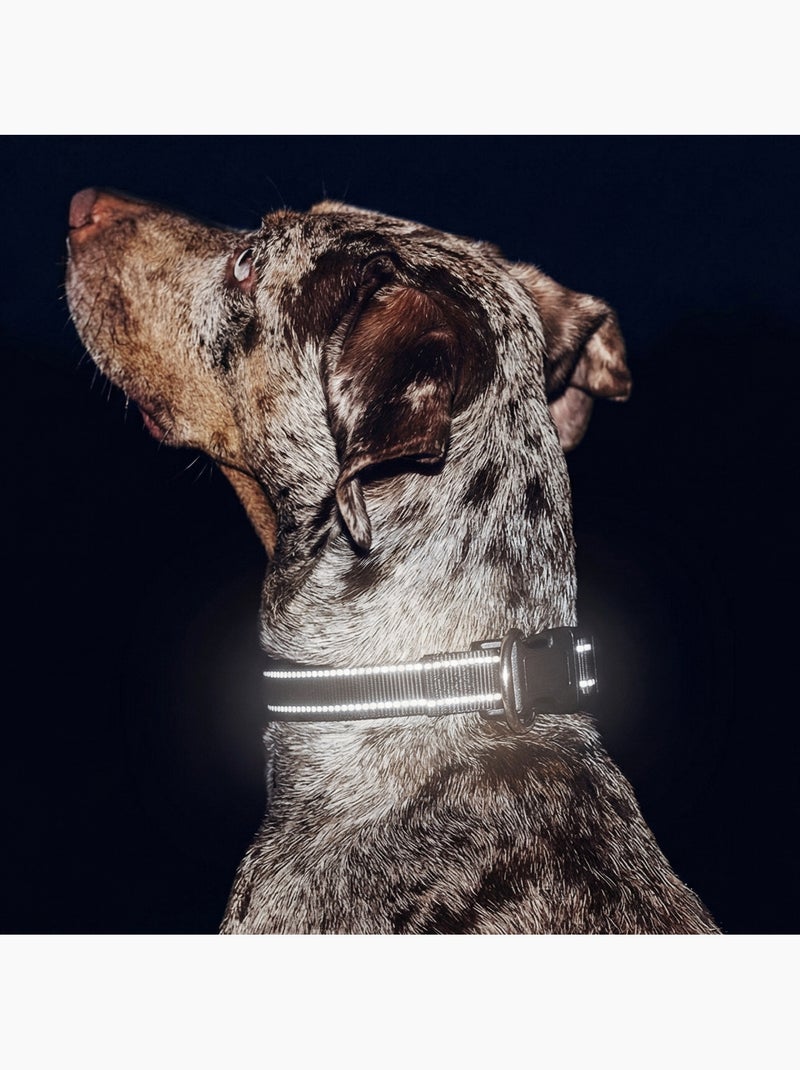 Collar para perro PELUVIO Buddy - Reflectante - Ajustable Negro - Kiabi