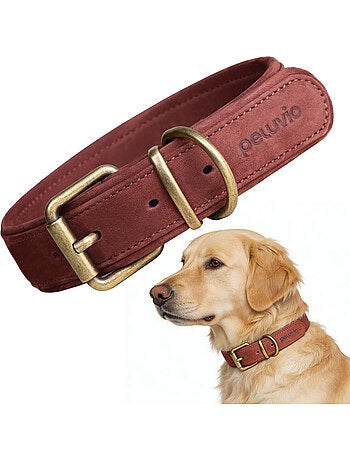 Collar para perros de cuero PELUVIO Rexor - Ajustable