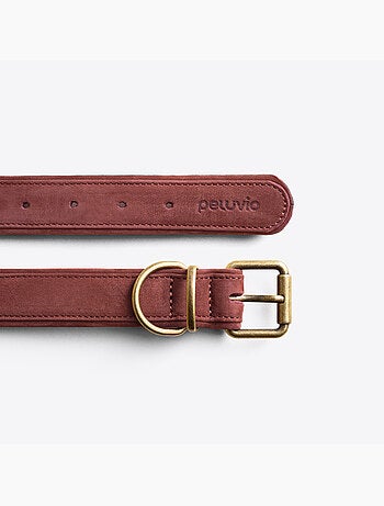 Collar para perros de cuero PELUVIO Rexor - Ajustable