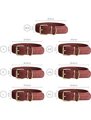 Collar para perros de cuero PELUVIO Rexor - Ajustable