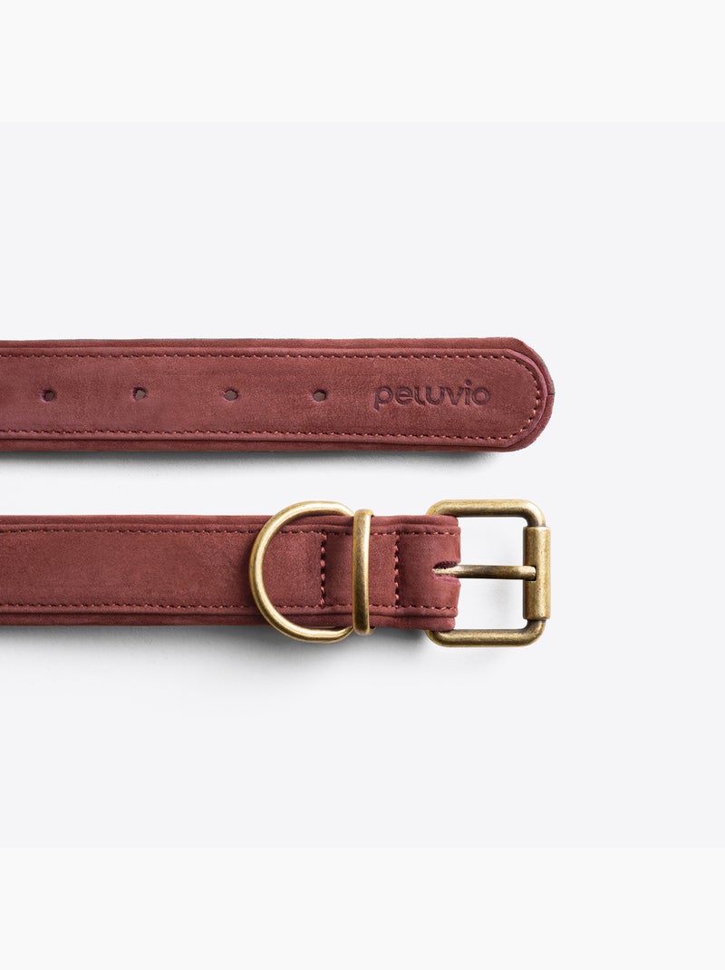 Collar para perros de cuero PELUVIO Rexor - Ajustable Marrón - Kiabi
