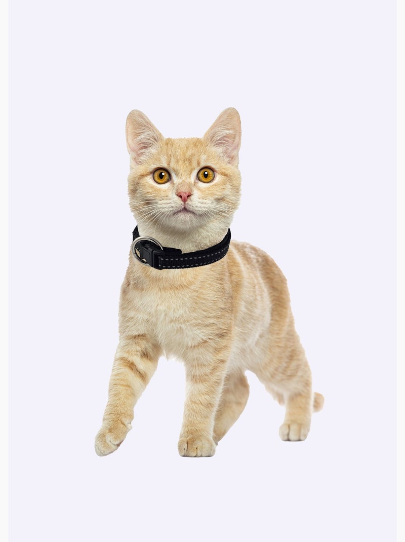 Collar reflectante para mascotas - AFIBEL Negro - Kiabi