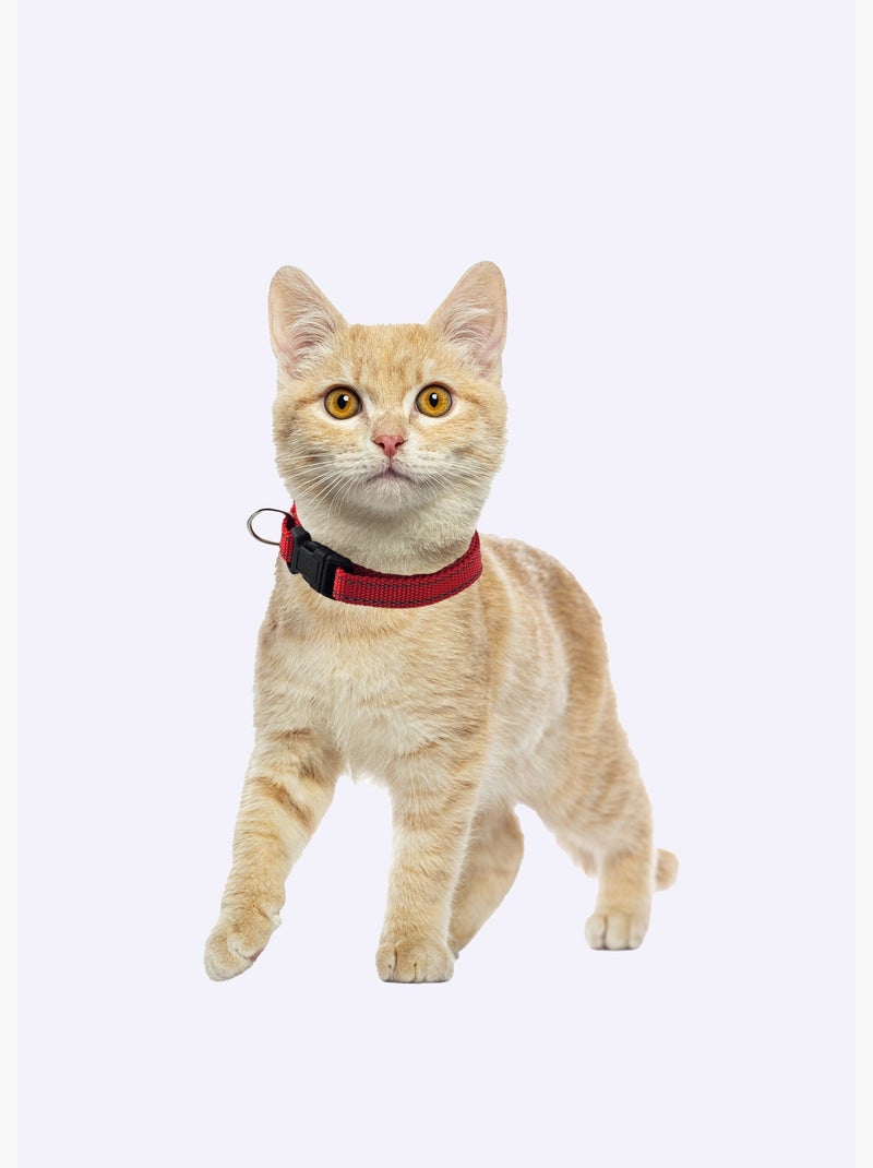 Collar reflectante para mascotas - AFIBEL Rojo - Kiabi