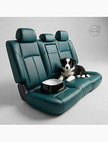 Comedero antisalpicaduras para perros PELUVIO Surfa - 1 l - Cuenco de agua flotante - Viajes, hogar