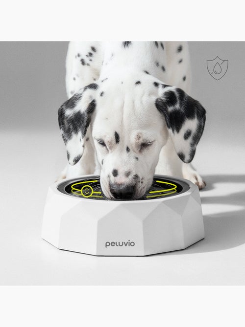 Comedero antisalpicaduras para perros PELUVIO Surfa - 1 l - Cuenco de agua flotante - Viajes, hogar - Kiabi Comedero antisalpicaduras para perros PELUVIO Surfa - 1 l - Cuenco de agua flotante - Viajes, hogar - Kiabi