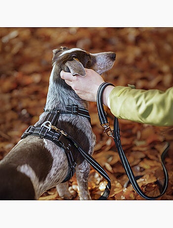 Correa sencilla para perros PELUVIO Amigo - 2,2 m