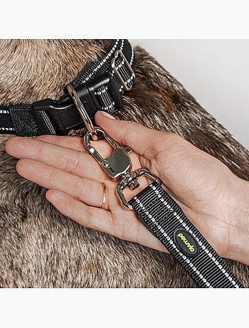 Correa sencilla para perros PELUVIO Amigo - 2,2 m