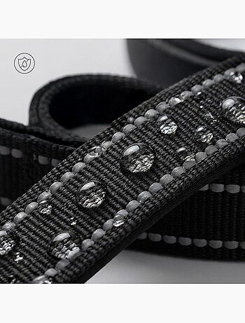 Correa sencilla para perros PELUVIO Amigo - 2,2 m