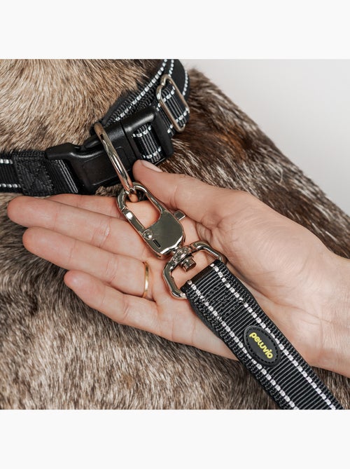 Correa sencilla para perros PELUVIO Amigo - 2,2 m - Kiabi Correa sencilla para perros PELUVIO Amigo - 2,2 m - Kiabi