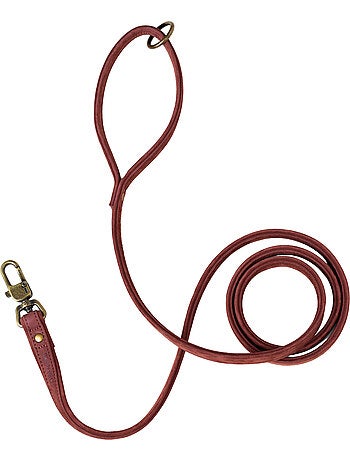 Correa sencilla para perros PELUVIO Regent - 1,7 m