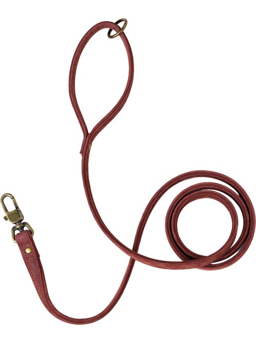 Correa sencilla para perros PELUVIO Regent - 1,7 m - Kiabi Correa sencilla para perros PELUVIO Regent - 1,7 m - Kiabi