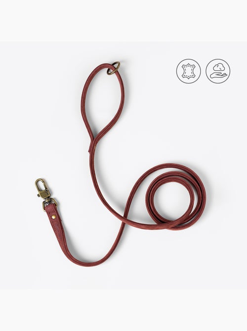 Correa sencilla para perros PELUVIO Regent - 1,7 m - Kiabi Correa sencilla para perros PELUVIO Regent - 1,7 m - Kiabi