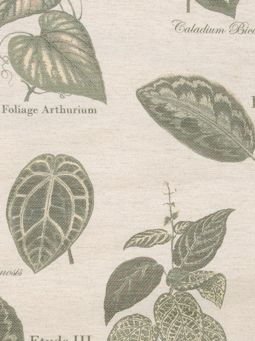 Cortina con Ojales Botánico Vintage - Kiabi