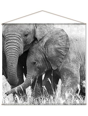Cuadro mural de elefante
