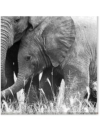 Cuadro mural de elefante