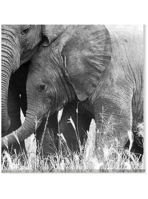 Cuadro mural de elefante - Kiabi Cuadro mural de elefante - Kiabi