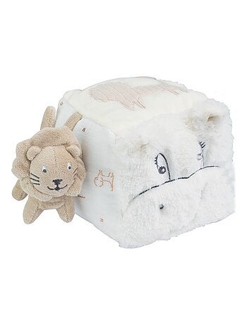 Cubo de actividades