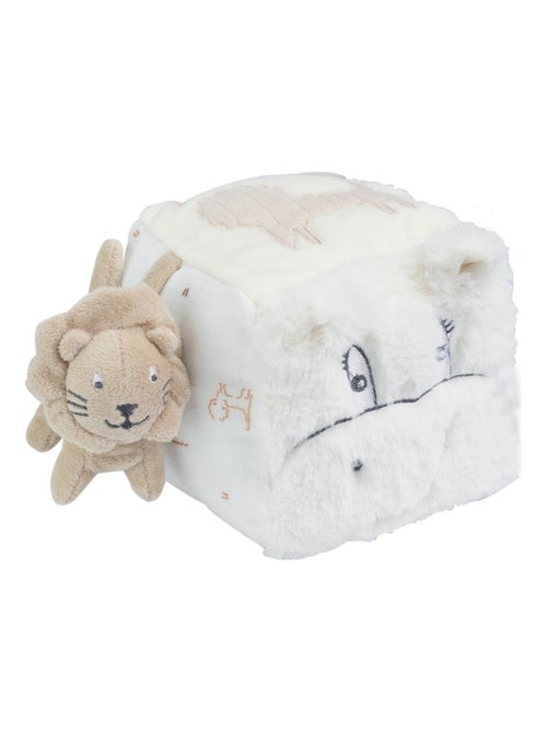 Cubo de actividades - Kiabi