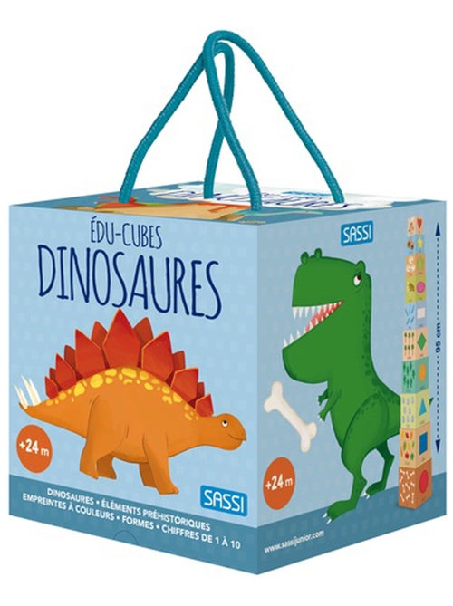 Cubos educativos y de aprendizaje, dinosaurios | Sassi Junior - Kiabi
